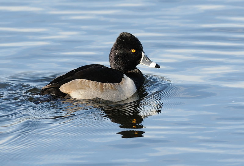 D36_3717.jpg