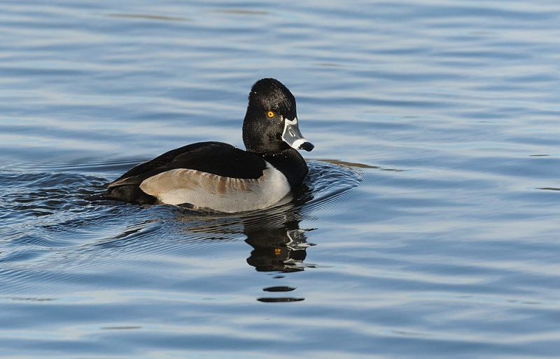 D36_3722.jpg