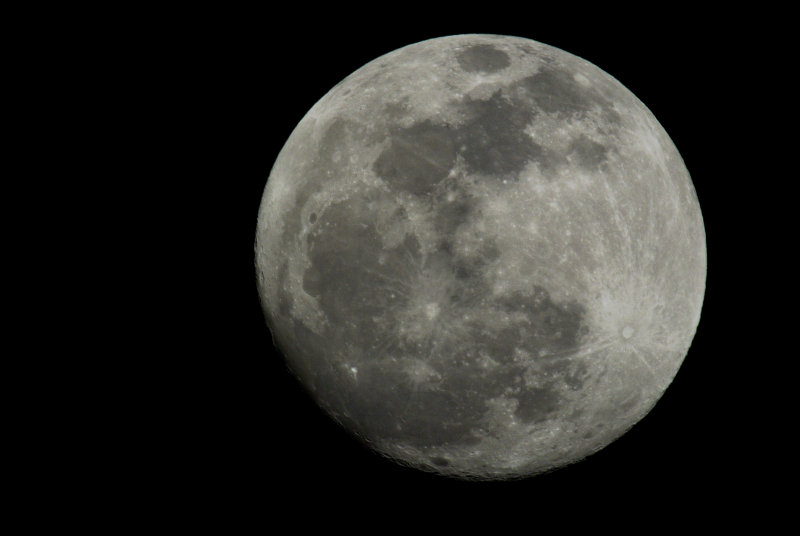 DSC_7181 NC.jpg