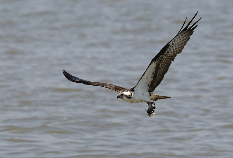 D36_5612.jpg