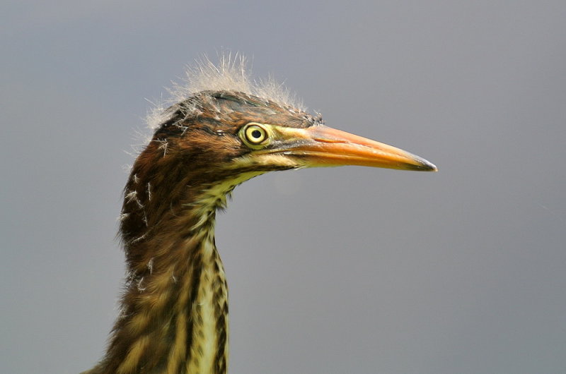 DSC_7577.jpg