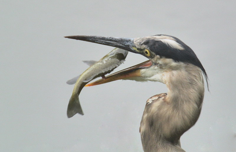 DSC_8740.jpg