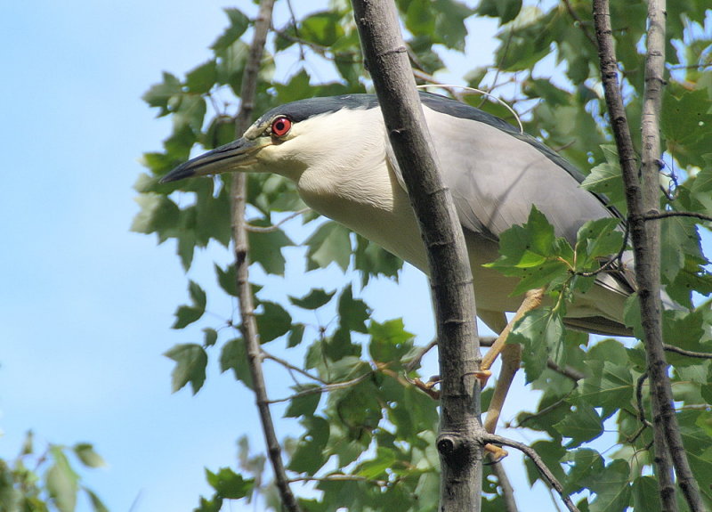 DSC_8745.jpg