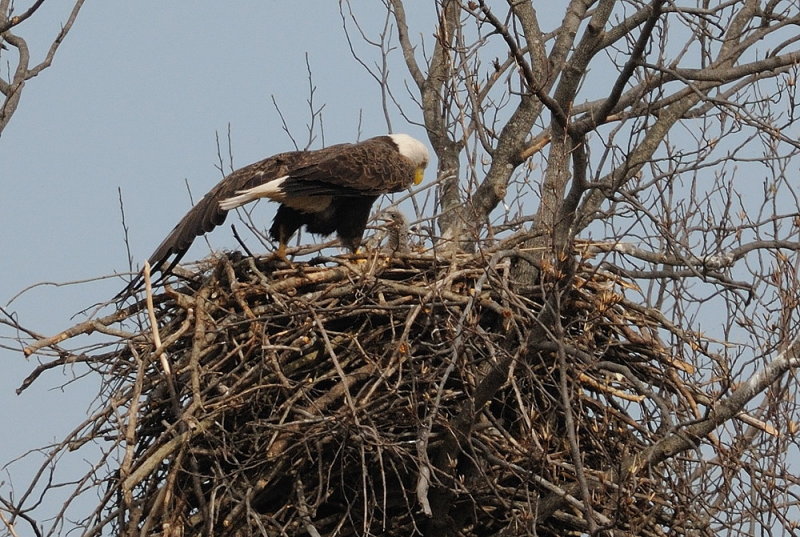 D37_3732.jpg