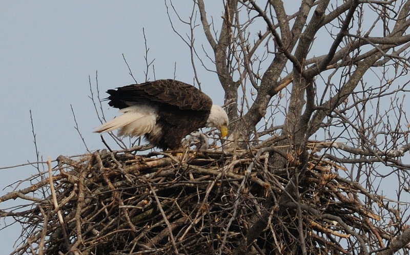D37_3757.jpg