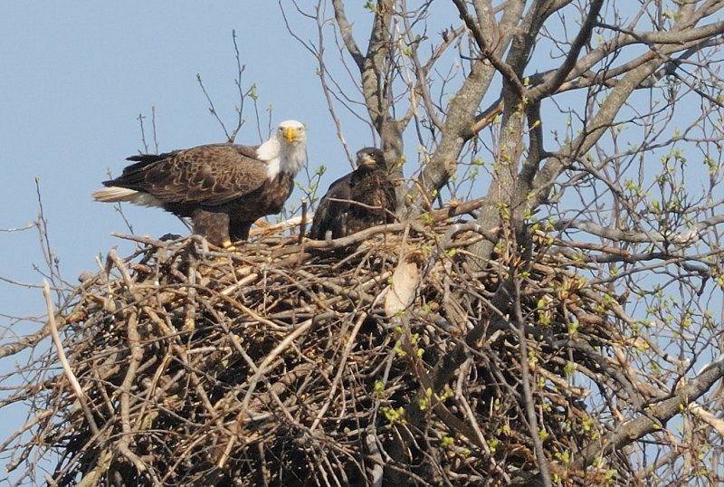 D37_4282.jpg