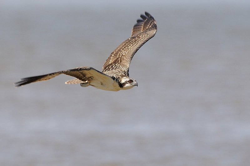 D37_7446.jpg