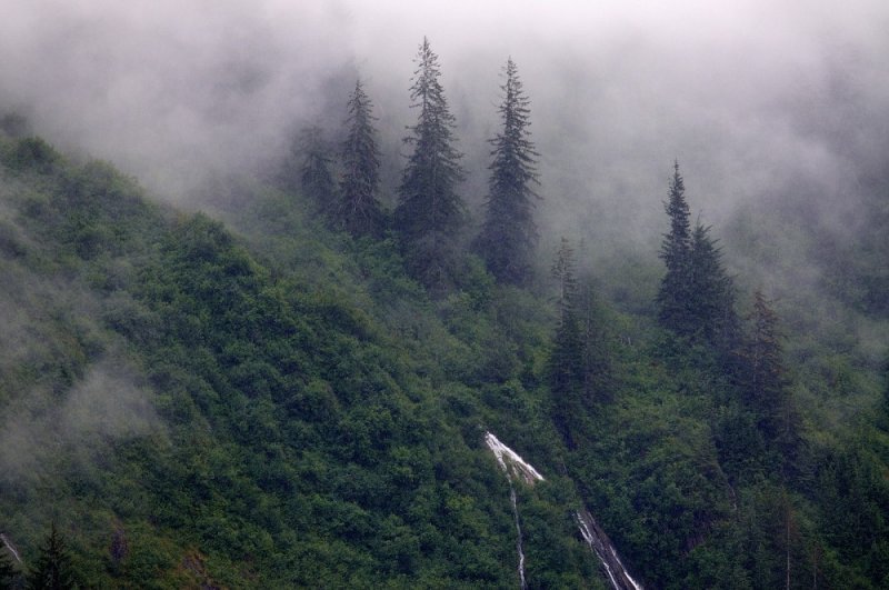 D37_8229.JPG