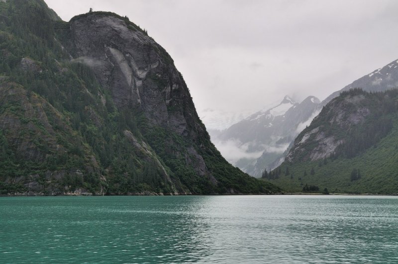 D37_8291.JPG