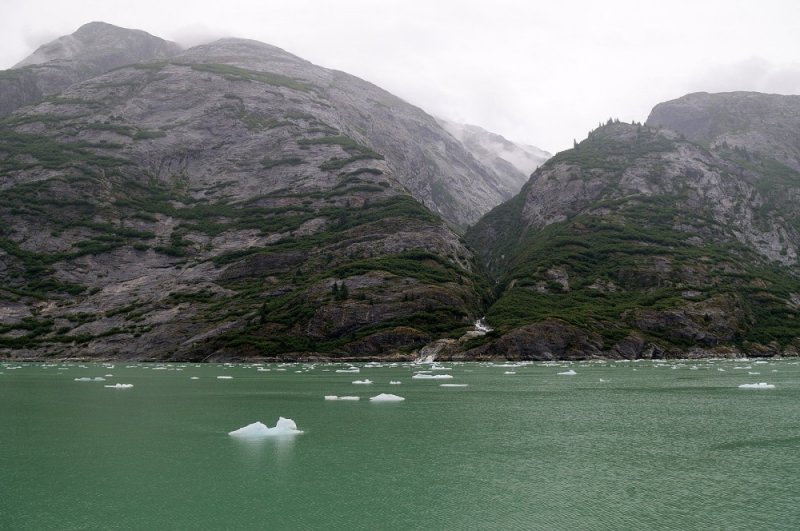 D37_8308.JPG