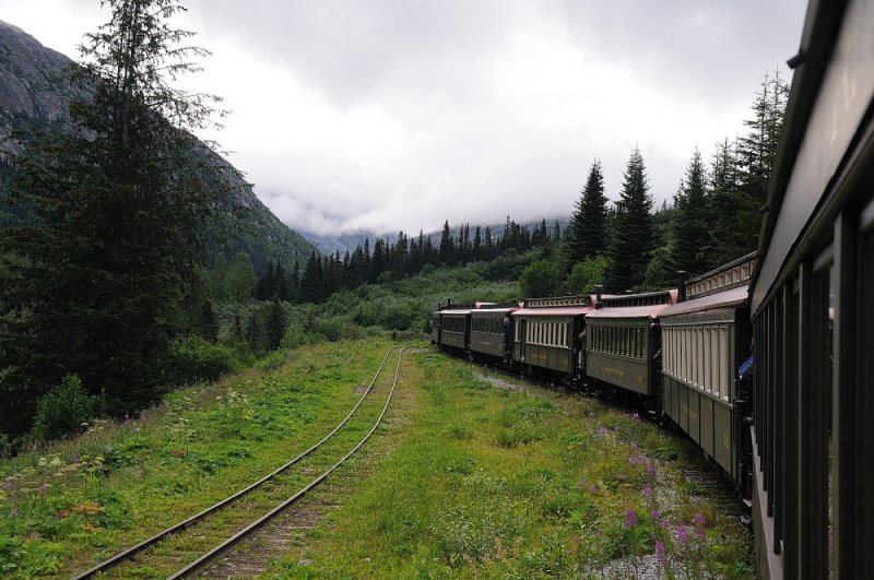 D37_8576.JPG