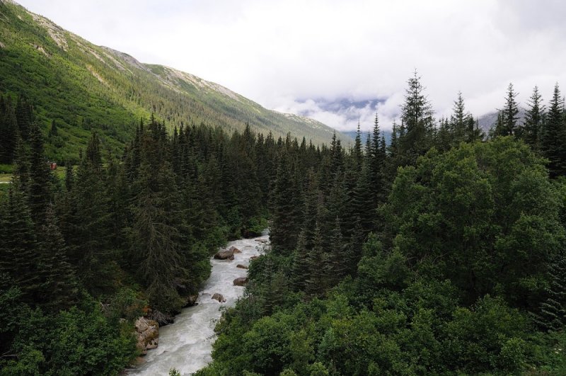 D37_8593.JPG