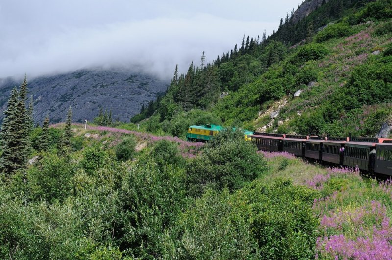 D37_8612.JPG