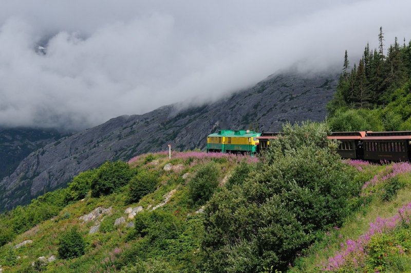 D37_8619.JPG