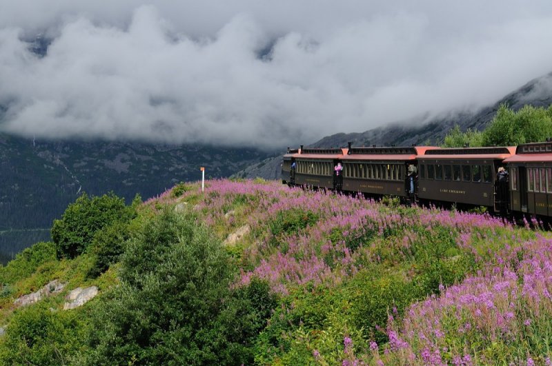 D37_8623.JPG