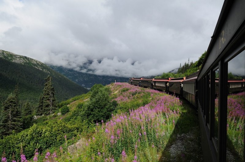 D37_8624.JPG