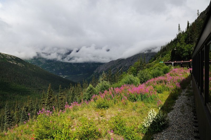 D37_8629.JPG