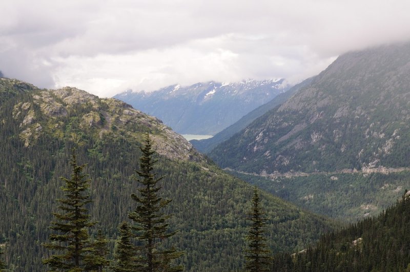 D37_8669.JPG