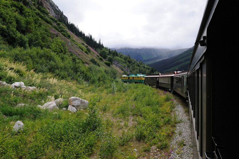 D37_8684.JPG