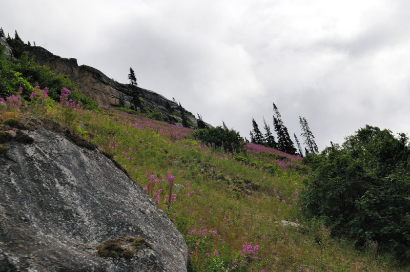 D37_8691.JPG