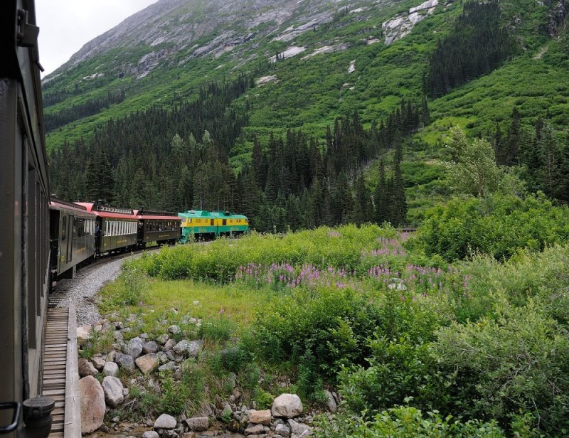 D37_8702.JPG