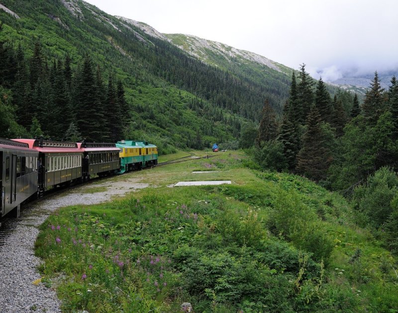D37_8710.JPG