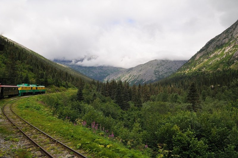 D37_8713.JPG