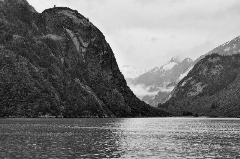 D37_8291 BW.JPG