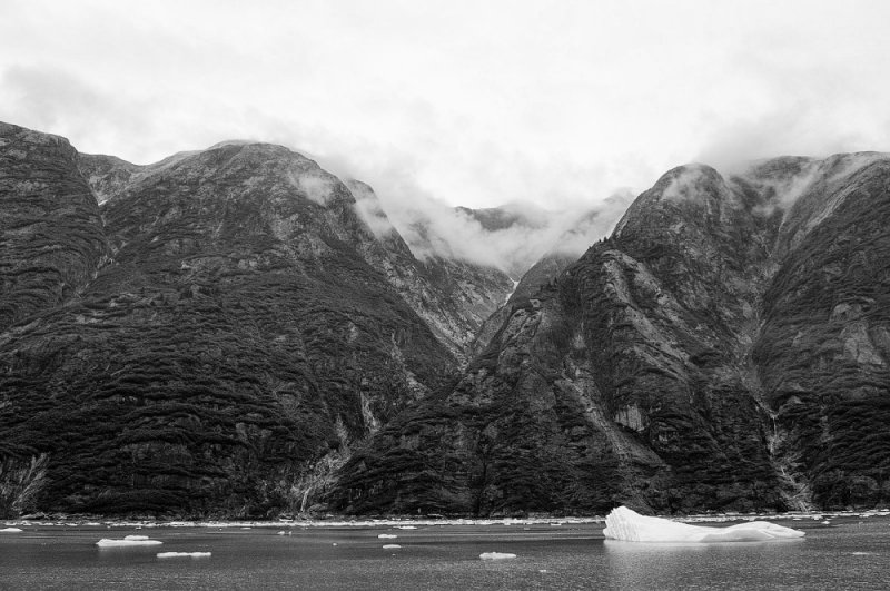 D37_8312 BW.JPG