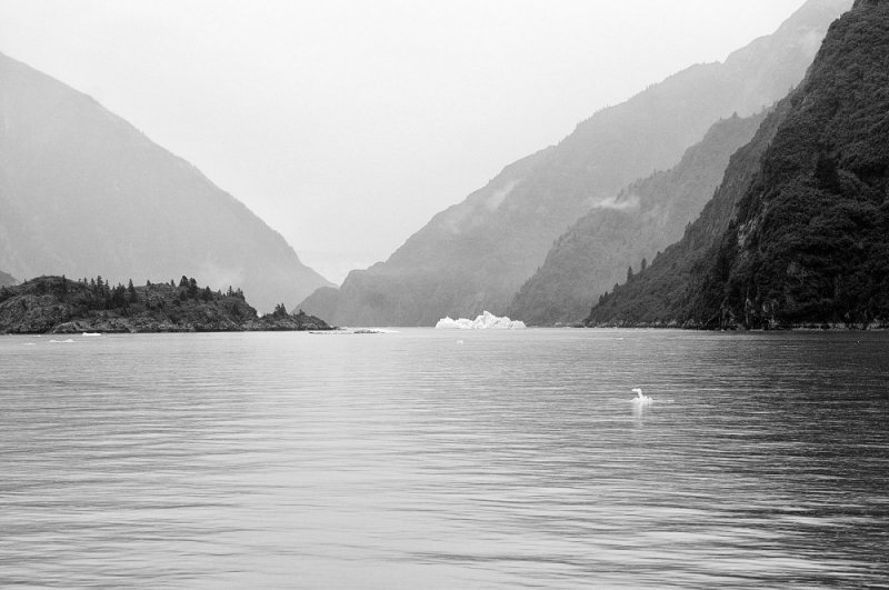 D37_8473 BW.JPG