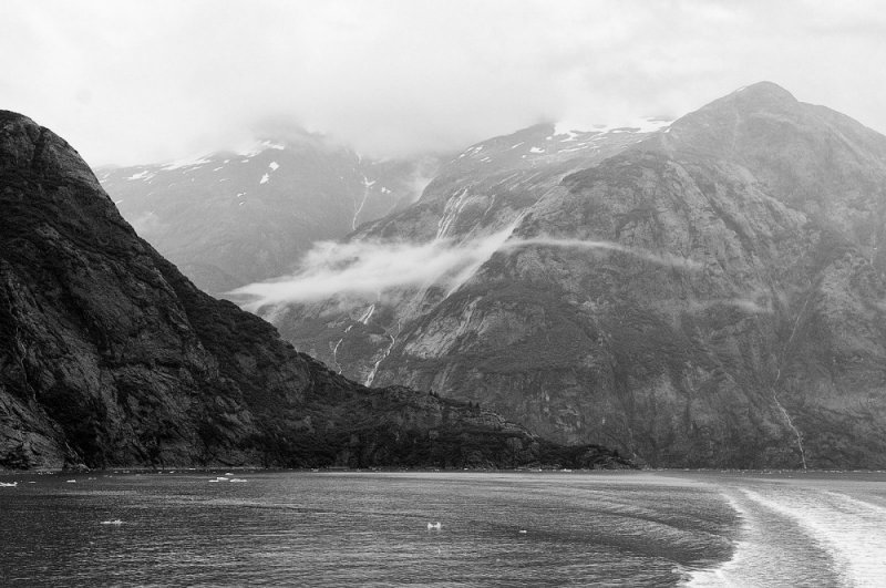 D37_8478 BW.JPG
