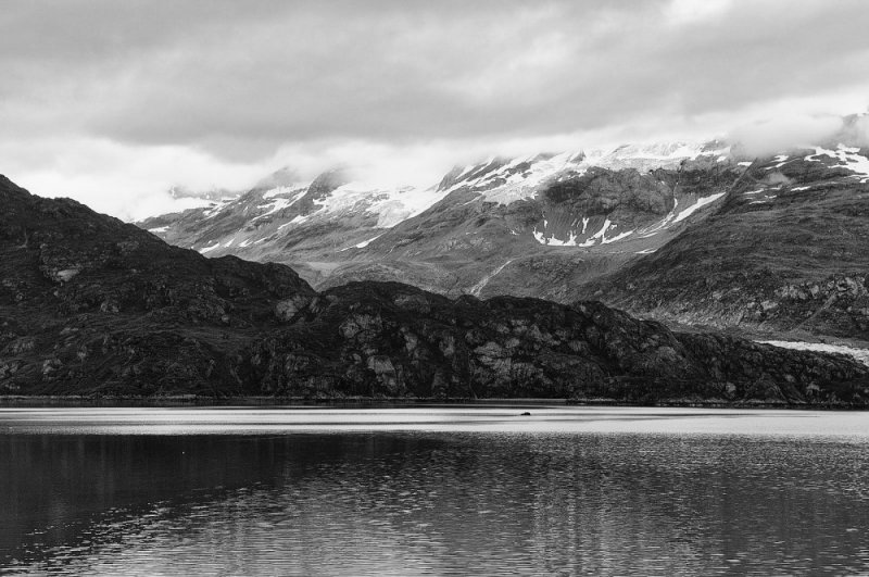 D37_8790 BW.JPG