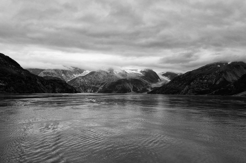 D37_9047 BW.JPG