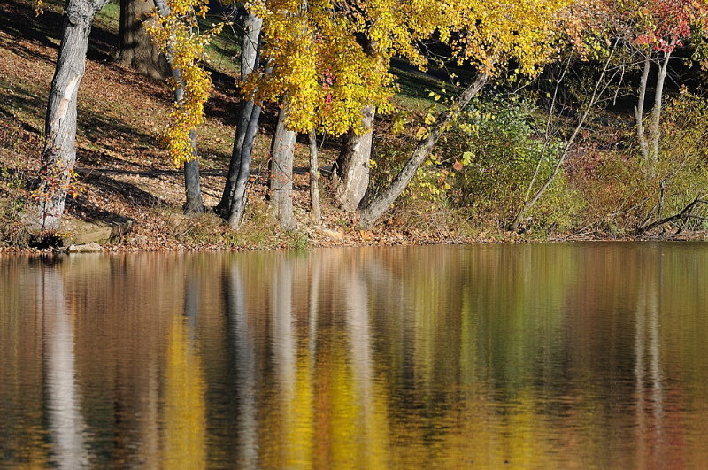 D38_7163.jpg