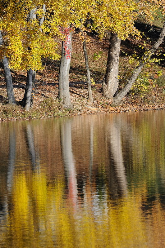D38_7164.jpg