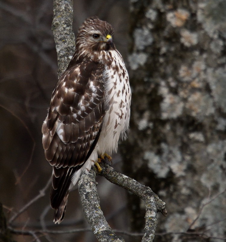 D50_0773.jpg
