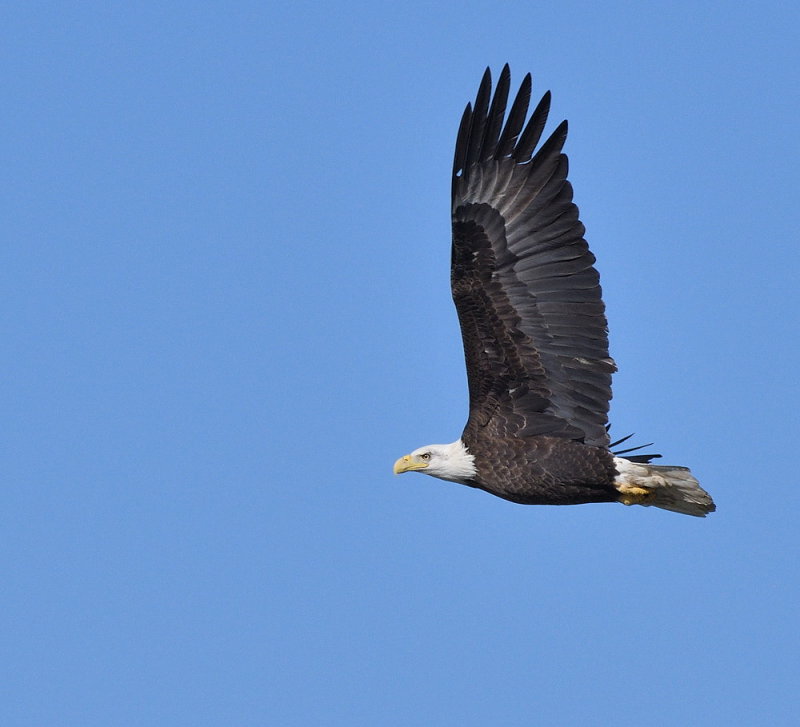 D50_1262.jpg