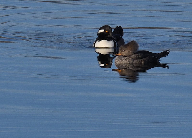 D50_1376.jpg