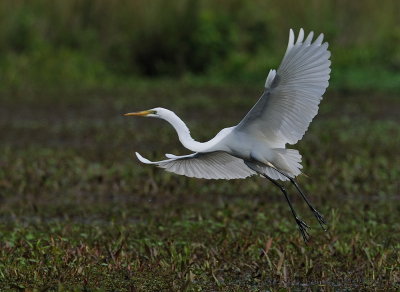 D35_3493.jpg