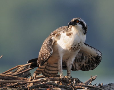 D35_5860.jpg