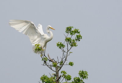 D35_3824.jpg