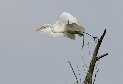 D35_3859.jpg