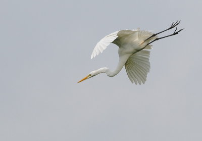 D35_3860.jpg