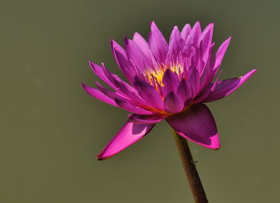 D35_7759.jpg