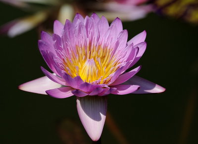 D35_7773.jpg