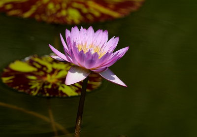 D35_7779.jpg