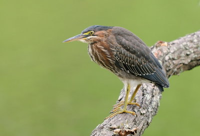 D35_7555.jpg