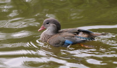 D35_7572.jpg