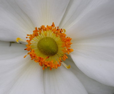 D35_7833.jpg