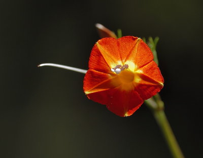 DSC_9324.jpg